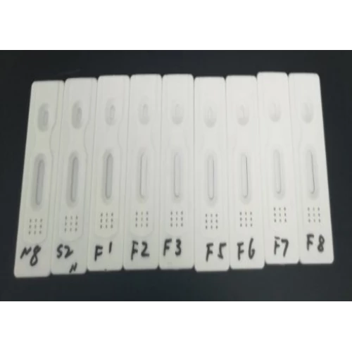 SARS-CoV-2(COVID-19)IgM / IgG抗體快速檢測